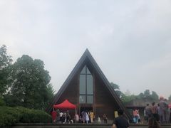 -美丽洲堂