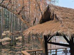 -波尔登森林公园