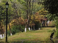 -铁山坪森林公园