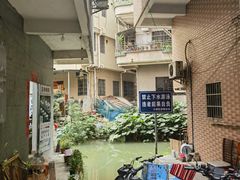 -小洲村