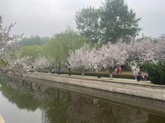 -元大都城垣遗址公园