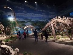 -自贡恐龙博物馆