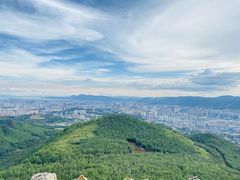 -长虫山生态公园风景林
