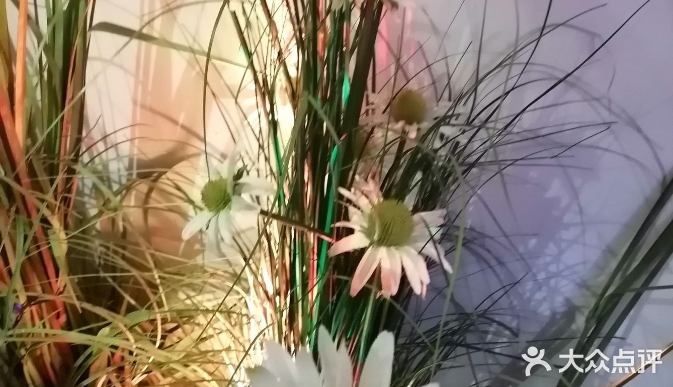 节日,请到暗恋桃花林
