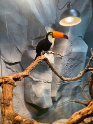 -Zoolung Zoolung动物主题公园(海信广场店)