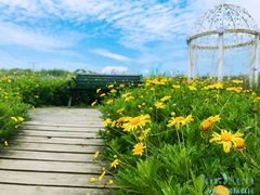 -紫颐香薰山谷景区
