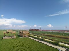 -红海滩国家风景廊道