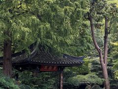 -杭州植物园