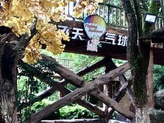 -横店影视城梦幻谷园区