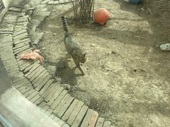 -青藏高原野生动物园