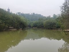 -大雁山风景区