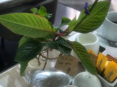 -RISE RESTAURANT(滨海湾金沙店)
