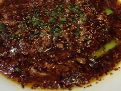 -茅庐毛血旺(烟台大悦城店)