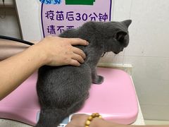 -芭比堂动物医院广州顽皮分院