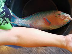 -仙本那渔人码头餐厅