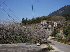 -广州市流溪河国家森林公园