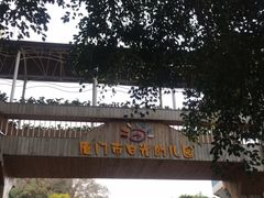 -厦门市日光幼儿园