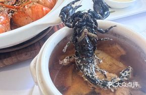 Scorpion Soup
