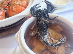 蝎子汤-山泉公馆酒家(珠江新城店)