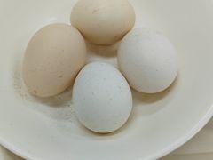 活珠子-阊门姚记豆浆(旧学前直营店)
