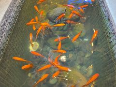 -黄家码头老火锅(解放碑旗舰店)