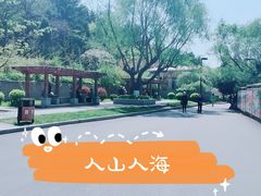 -望溪公园