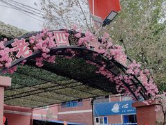 -托克逊老四号餐厅
