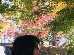 -富士山吉田線五合目