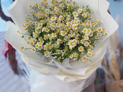 -ChaKo Flora ·茶子花艺 (市北店)