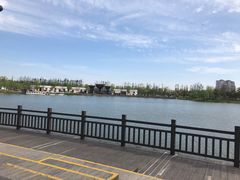 -上海长兴岛郊野公园