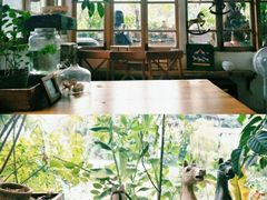 大堂-懒鱼时光馆(沙坪坝店)