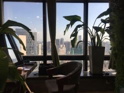 -V-STAR威斯达•高级私人定制
