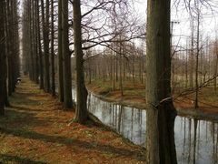 -上海长兴岛郊野公园