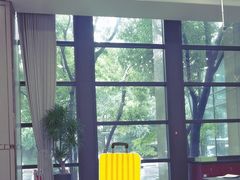 -常州环球恐龙城维景国际大酒店