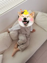 -BabyA 专业婴童摄影(古北时尚广场店)