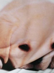 -亮丽妈妈·催乳通乳·产后恢复(万达店)