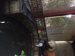 九华山庄风吕别墅-北京九华山庄会展酒店