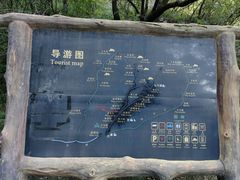-王顺山国家森林公园