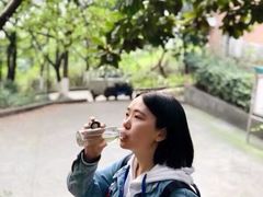 -南山植物园