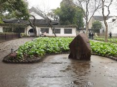 -绍兴鲁迅故里·沈园景区