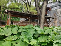 -沈阳植物园