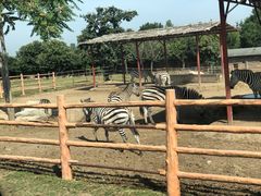 -西安秦岭野生动物园