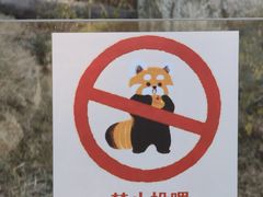 -武汉动物园