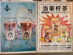 -高嶺咖啡(望京店)
