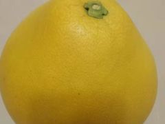 -三旗百汇商品城