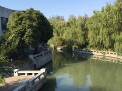 -溱湖国家湿地公园