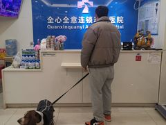 -全心全意连锁动物医院·微创中心·内科急重症·心脏专科(丰管路店)