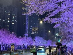 -西北湖绿化广场