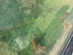 -石家庄市动物园