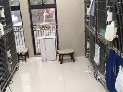 -申普宠物医院·心脏介入·心血管微创(总院)